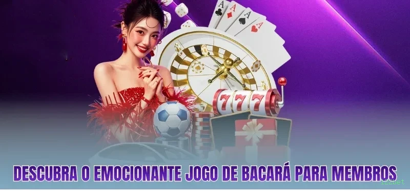Cassino Ao Vivo 122bet